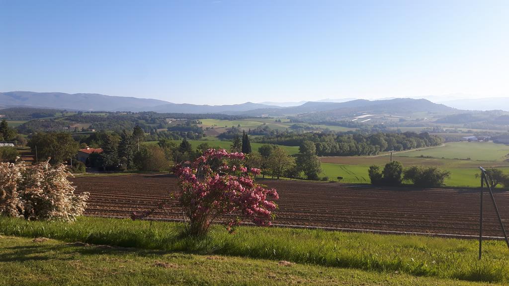 La Magnanerie Villa Niozelles Luaran gambar